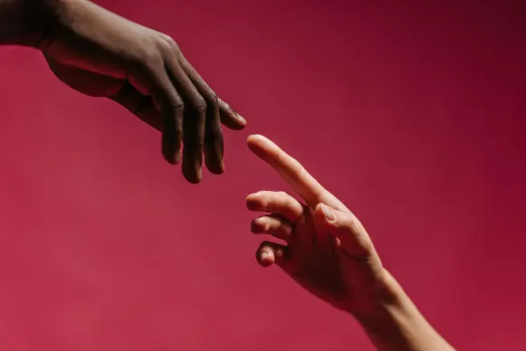 Casino Vegas Crest Suporte